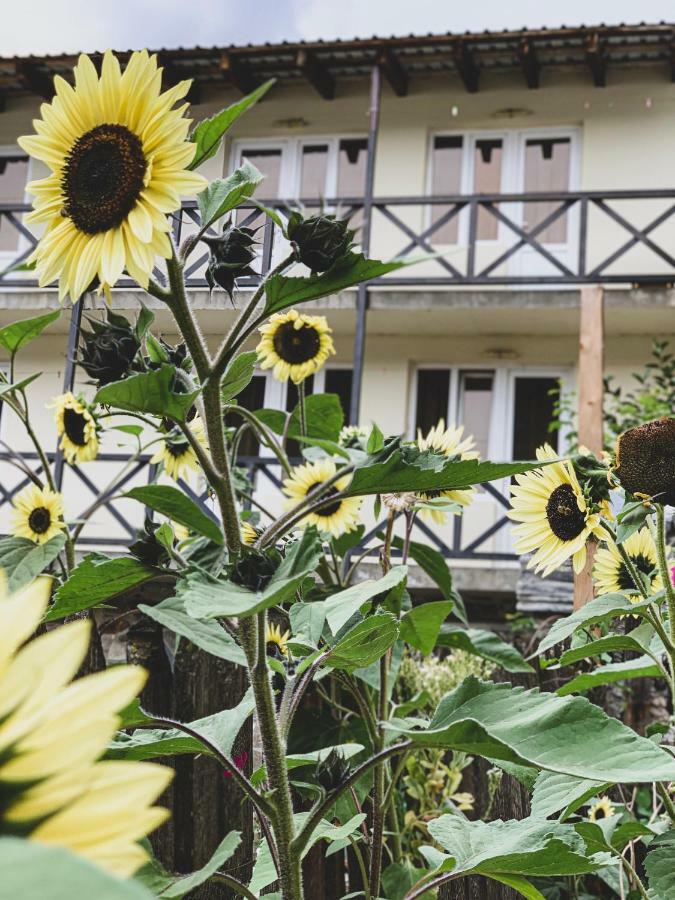 Family Hotel Kala Mestia Zewnętrze zdjęcie