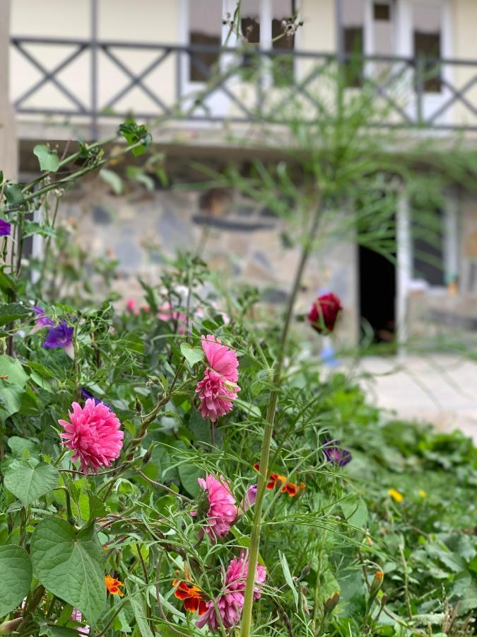 Family Hotel Kala Mestia Zewnętrze zdjęcie